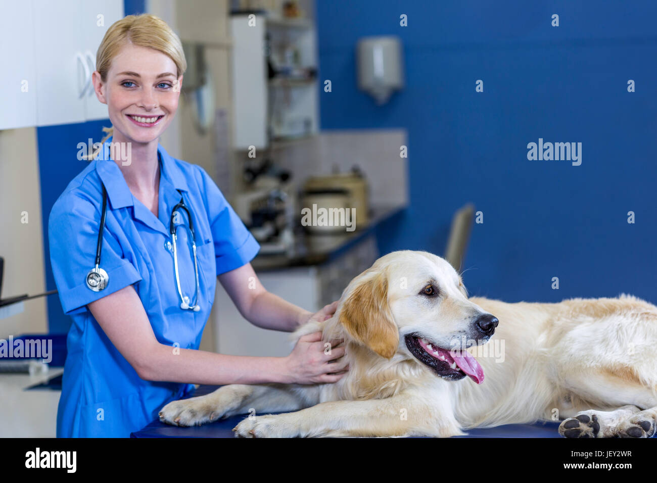 Woman vet smiling and posing with a dog Stock Photo