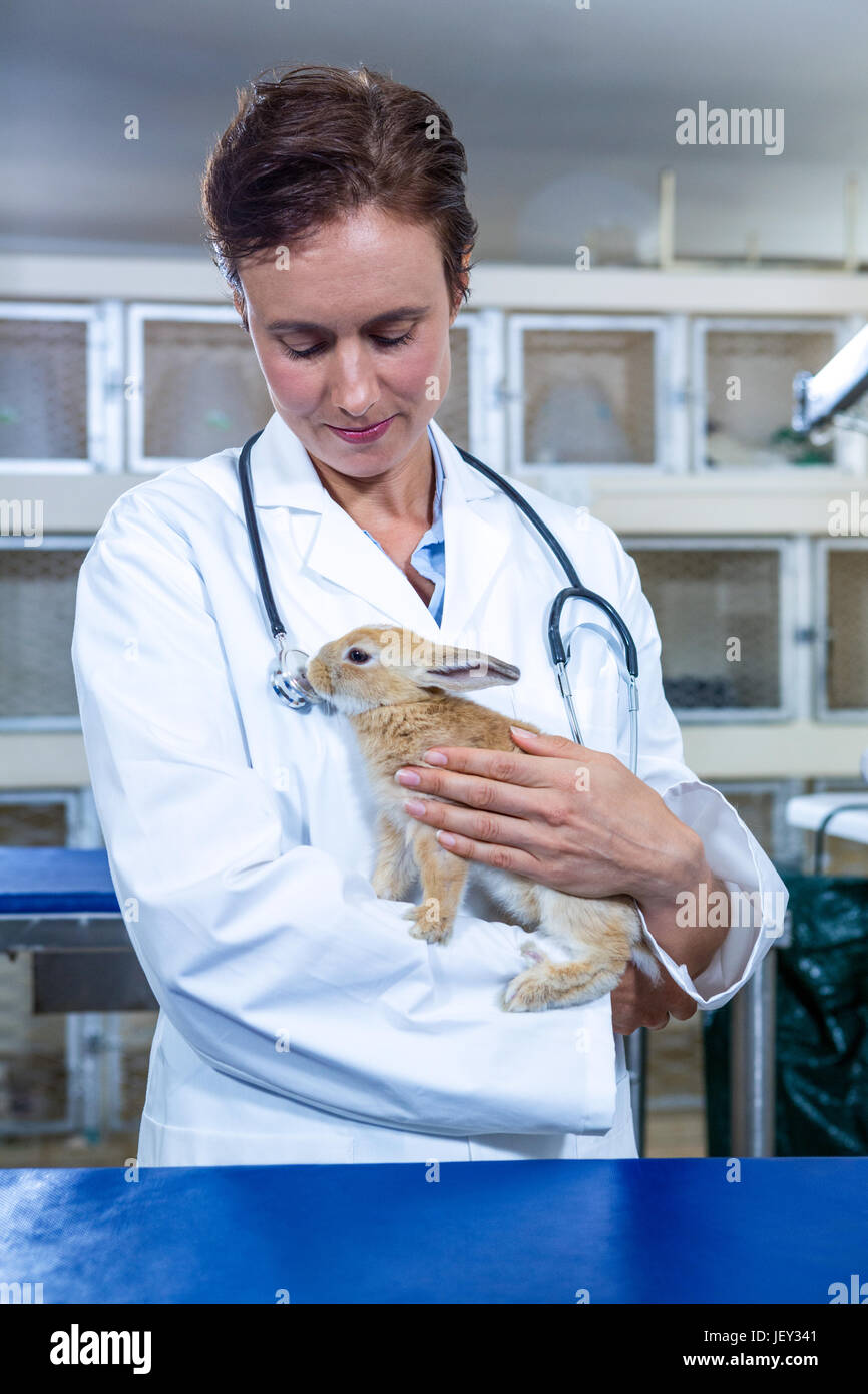 A smiling vet looking at a rabbit Stock Photo Alamy