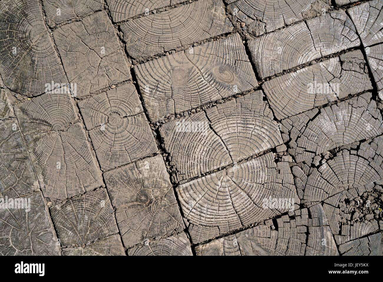 wooden floor in a disused factory Stock Photo