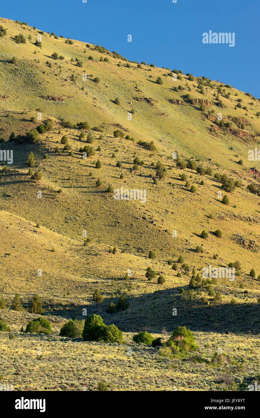 Hart Mountain front, Hart Mountain National Antelope Refuge, Oregon ...