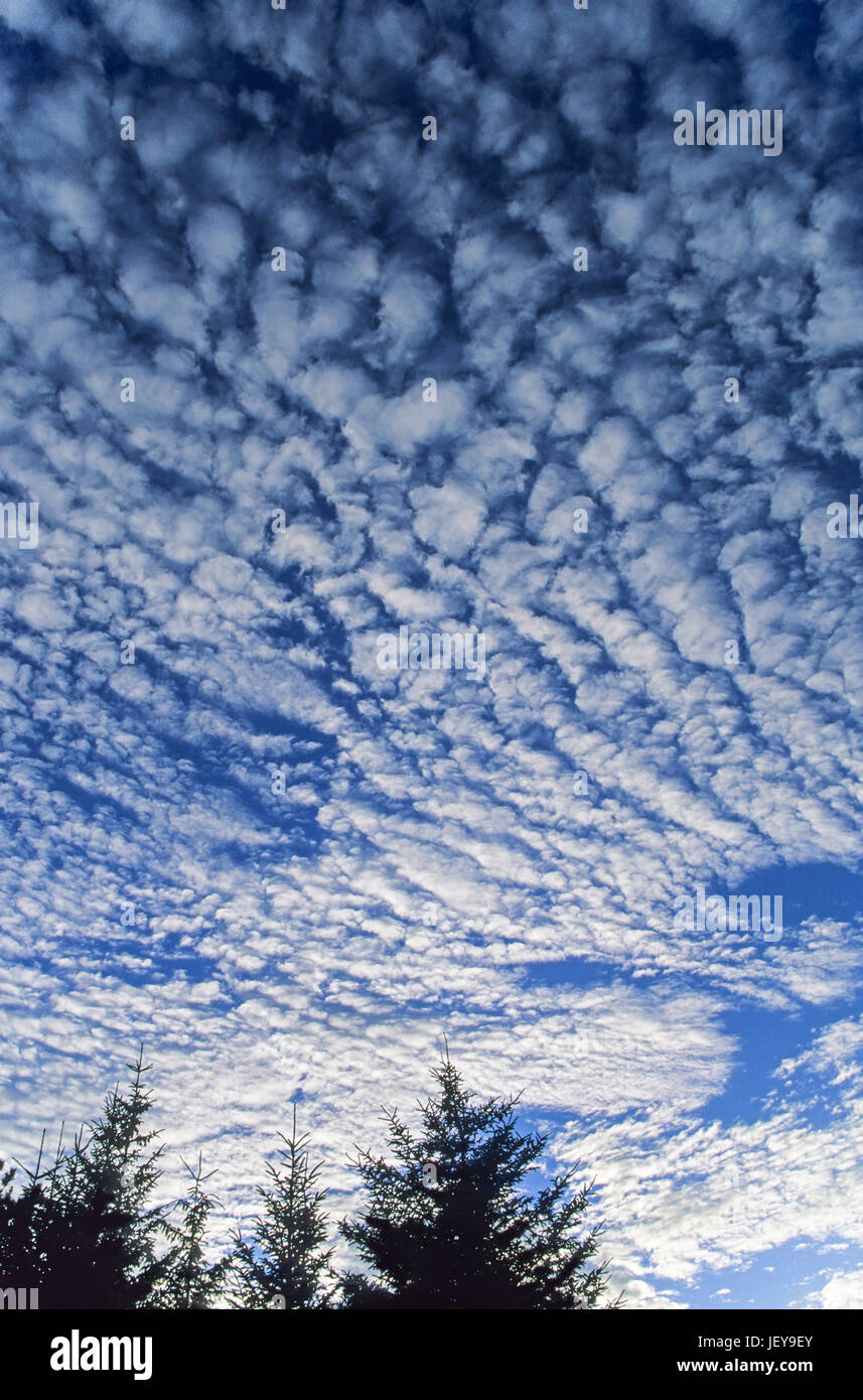 Cloud formation at blue sky / Syddanmark Stock Photo