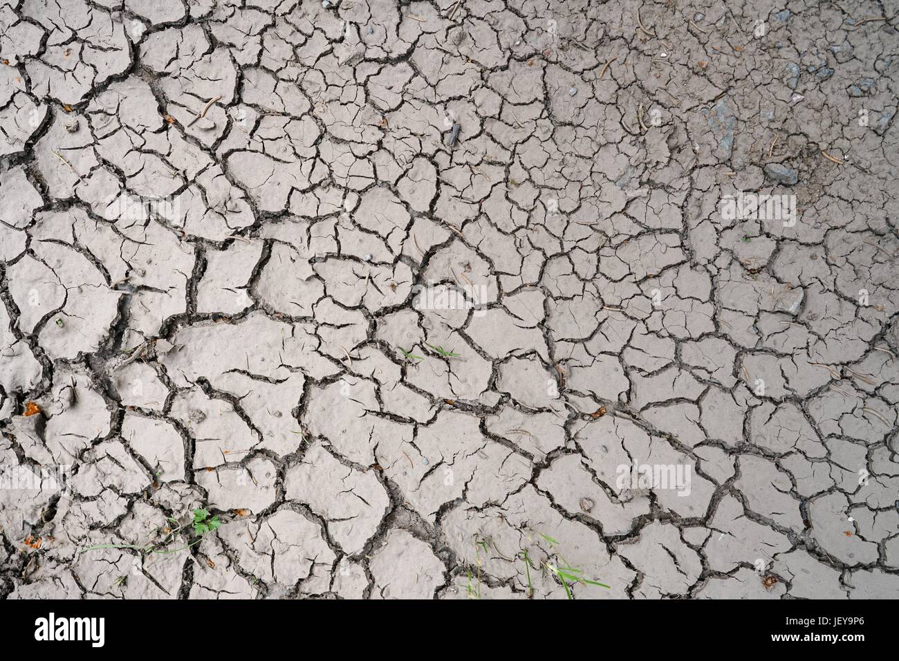 parched ground on a field in summer Stock Photo