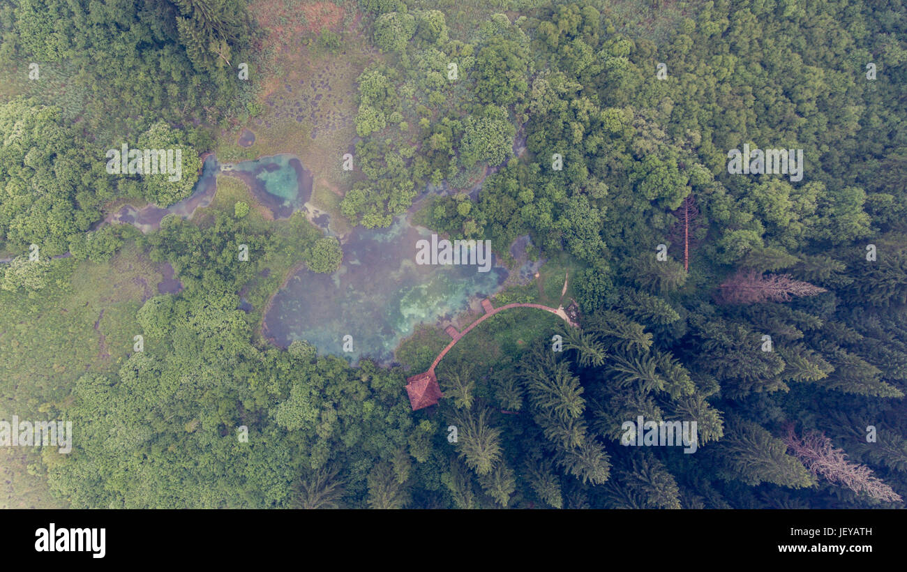 Aerial view of a forest with lake Stock Photo - Alamy