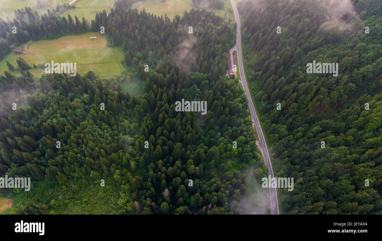 Aerial view of a forest with lake Stock Photo - Alamy