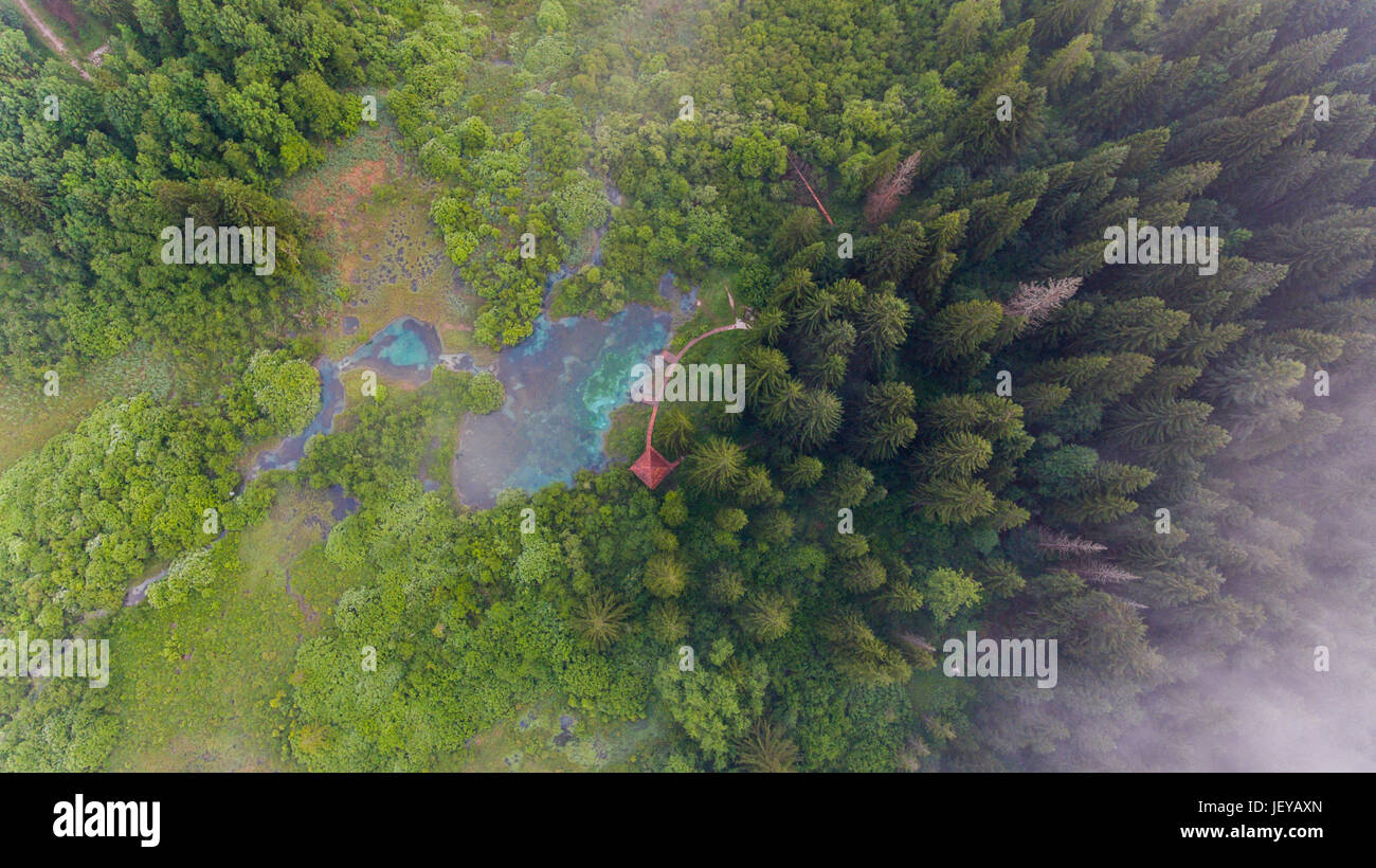 Aerial view of a forest with lake Stock Photo - Alamy