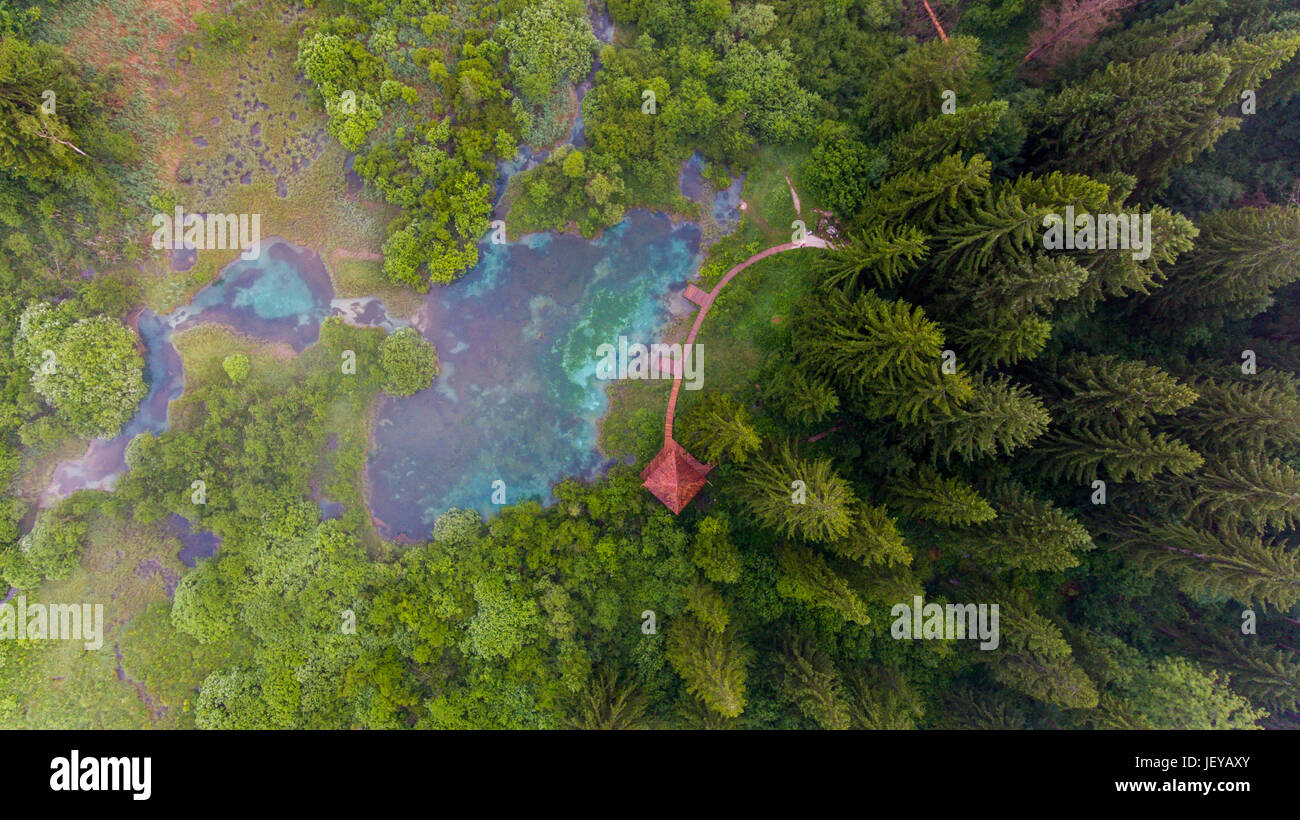 Aerial view of a forest with lake Stock Photo - Alamy