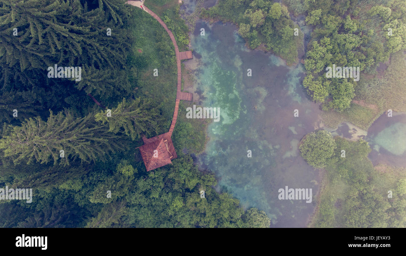 Aerial view of a forest with lake Stock Photo - Alamy