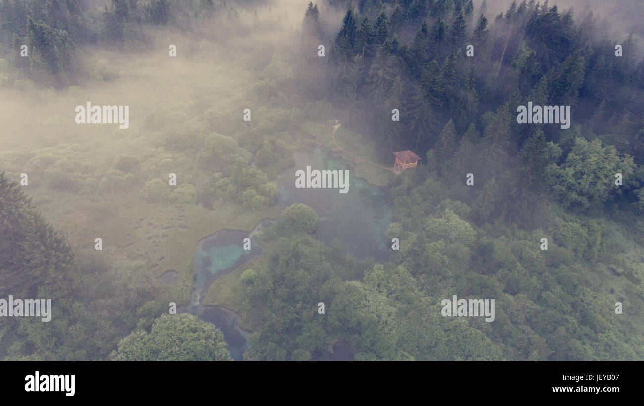 Aerial view of a forest with lake Stock Photo - Alamy