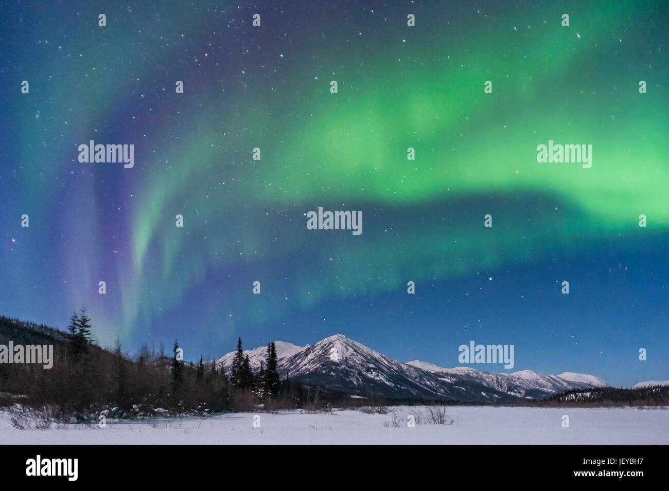 The beautiful Northern Lights photographed at night on the frozen Koyukuk river in Wiseman, Alaska. Stock Photo