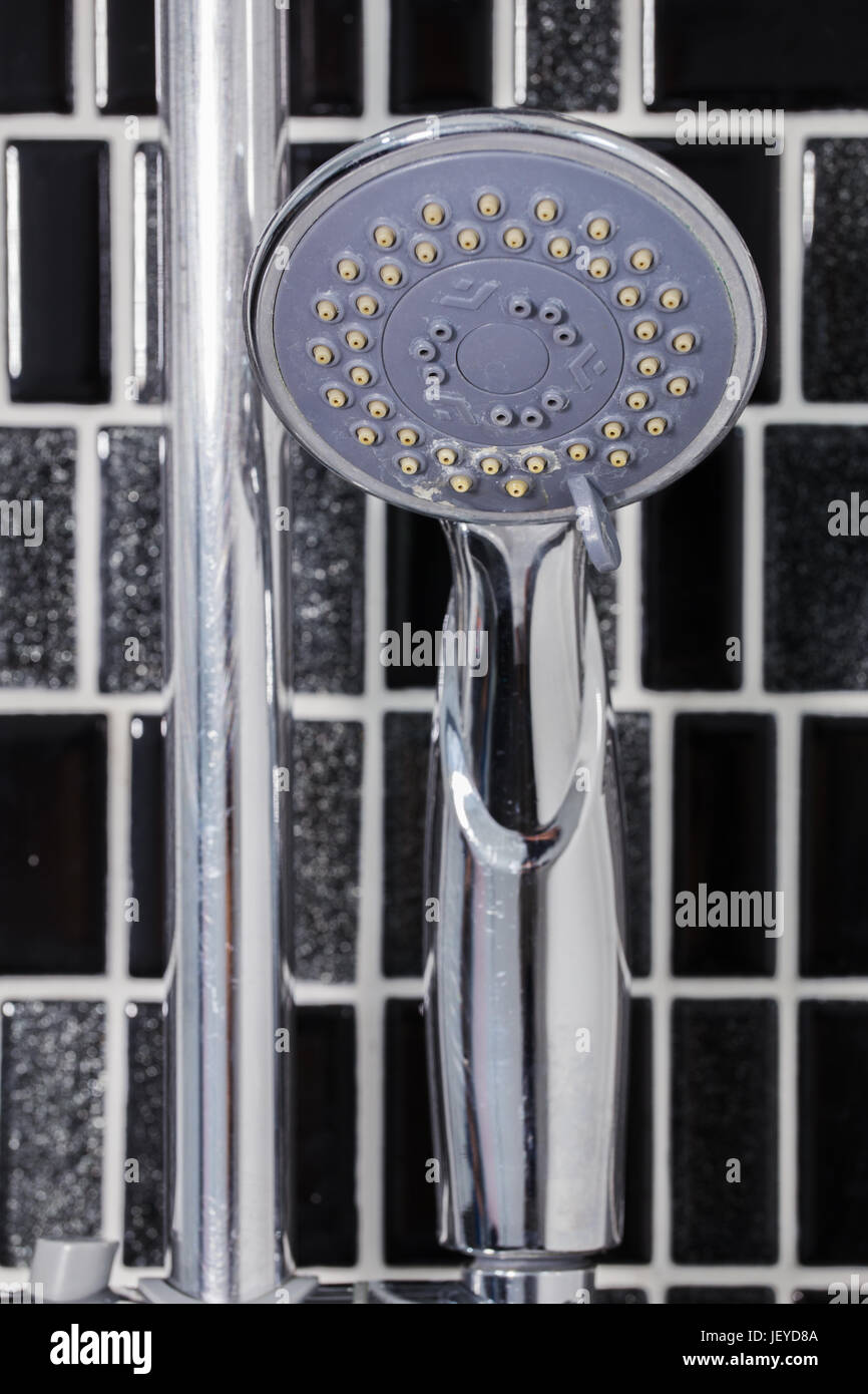 shower head in the bathroom Stock Photo Alamy