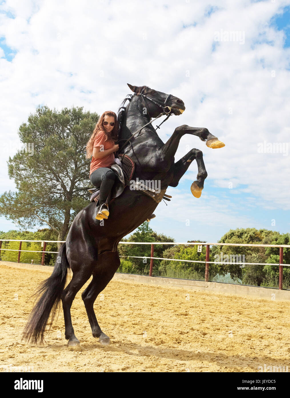 riding girl and her stallion in a training of dressage Stock Photo