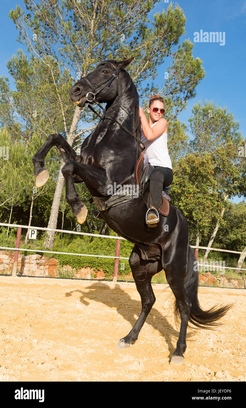 riding girl on stallion in a training of dressage Stock Photo