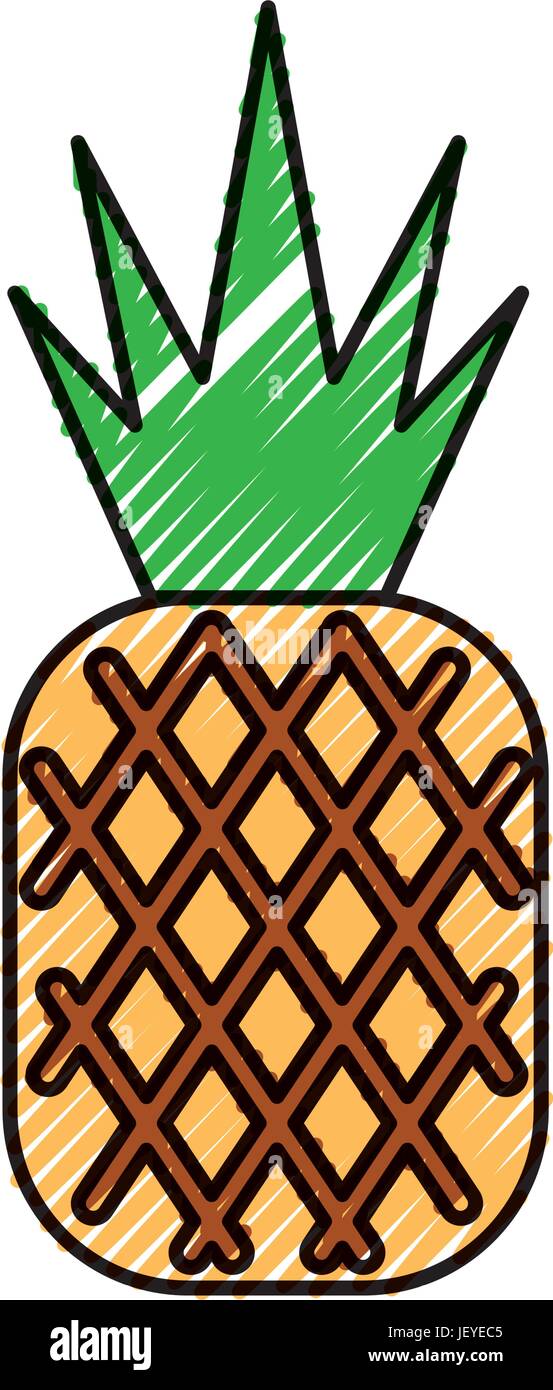 pineapple tropical and exotic fruit Stock Vector Image & Art - Alamy