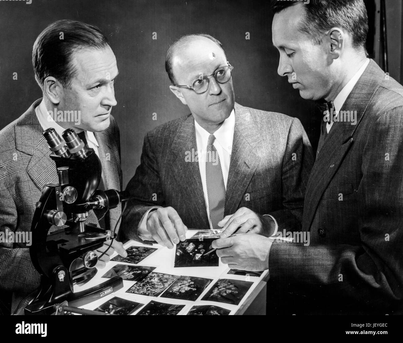 Microscope Slide Visualization Microscopes slides Black and White Stock Photos & Images - Alamy
