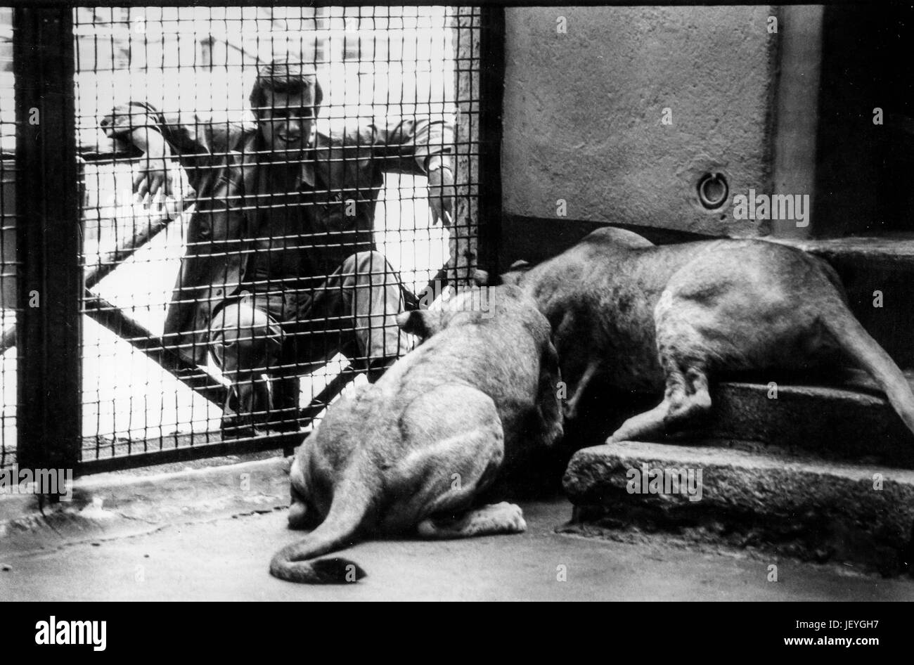 Historical Zoo Images High Resolution Stock Photography and Images - Alamy