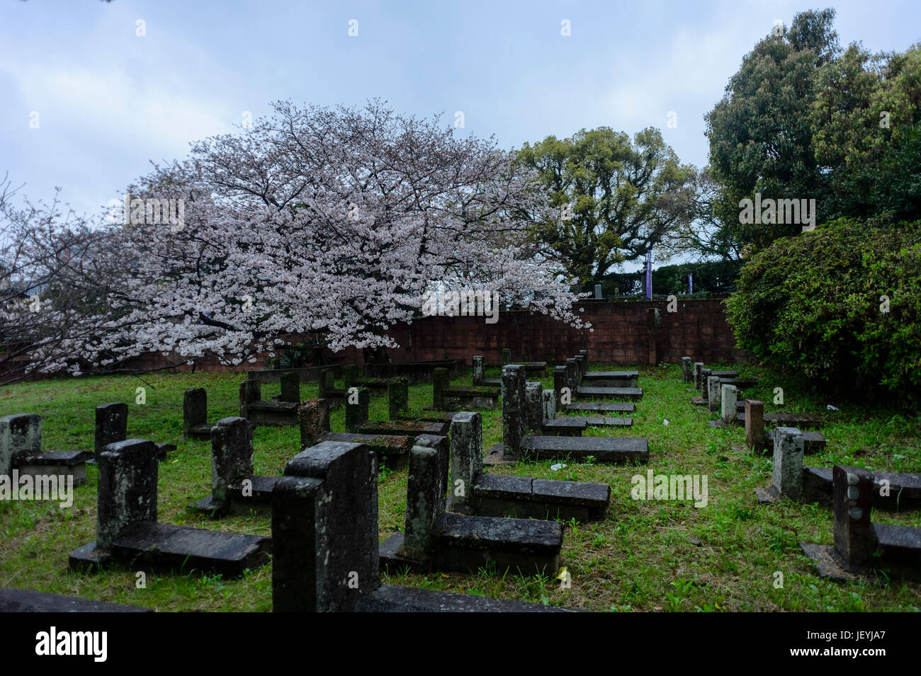Nagasaki cemetery Stock Photo