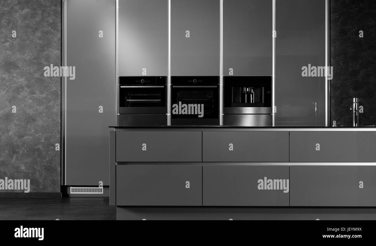 Idea of minimalist kitchen . Modern kitchen with an undermount sink, flat-panel cabinets, black tone cabinets and paneled appliances. Stock Photo