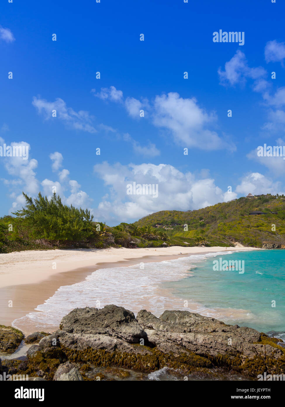 Macaroni Beach Mustique, A white sand pristine beach for the rich and famous Stock Photo Alamy