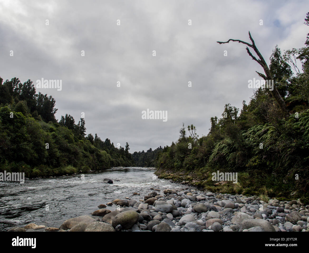 Whakapapa River at Owhango. Flowing in boulder bed through native forest on steep slopes of river gorge, Tongariro Forest, Ruapehu Distict, New Zealan Stock Photo