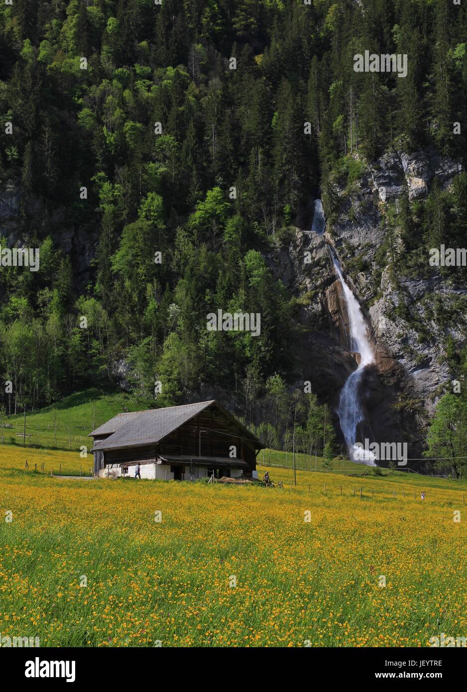 Spring scene in the Kloental valley Stock Photo - Alamy