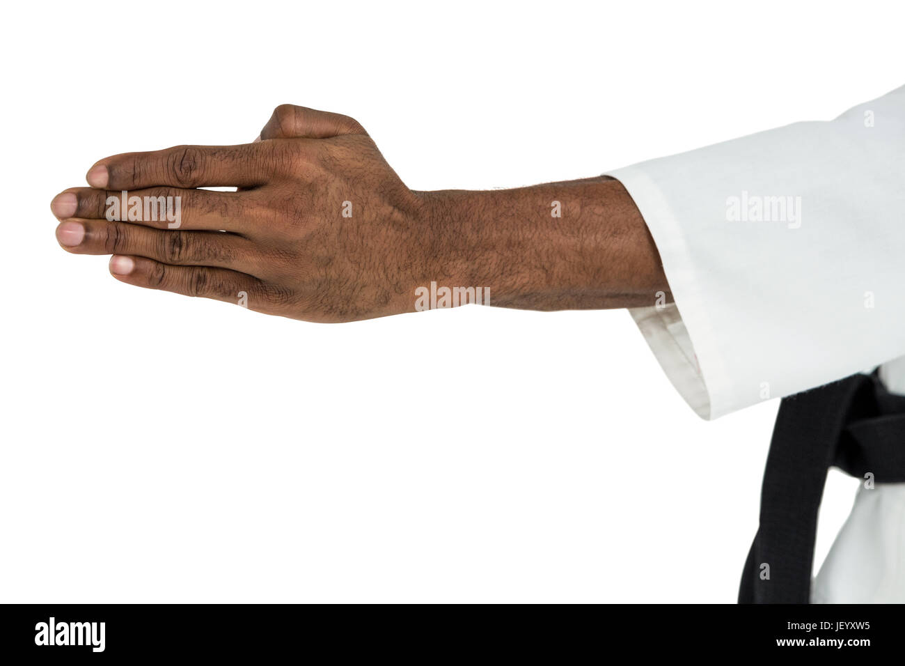 Fighter doing karate chop Stock Photo Alamy