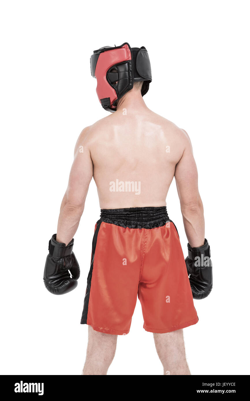 Rear view of boxer standing Stock Photo