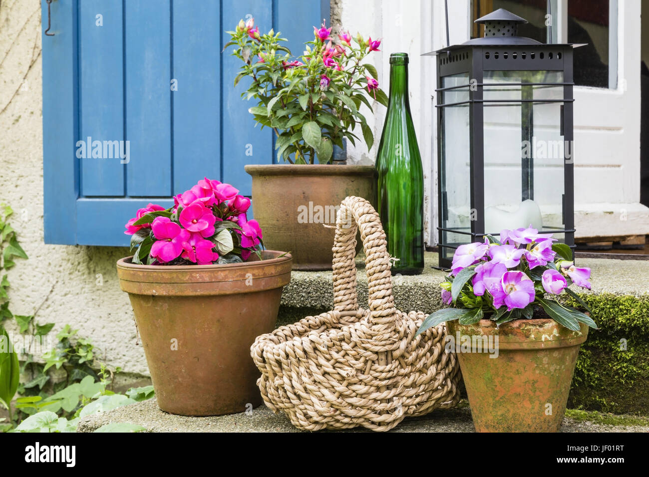 still live with flower pots Stock Photo