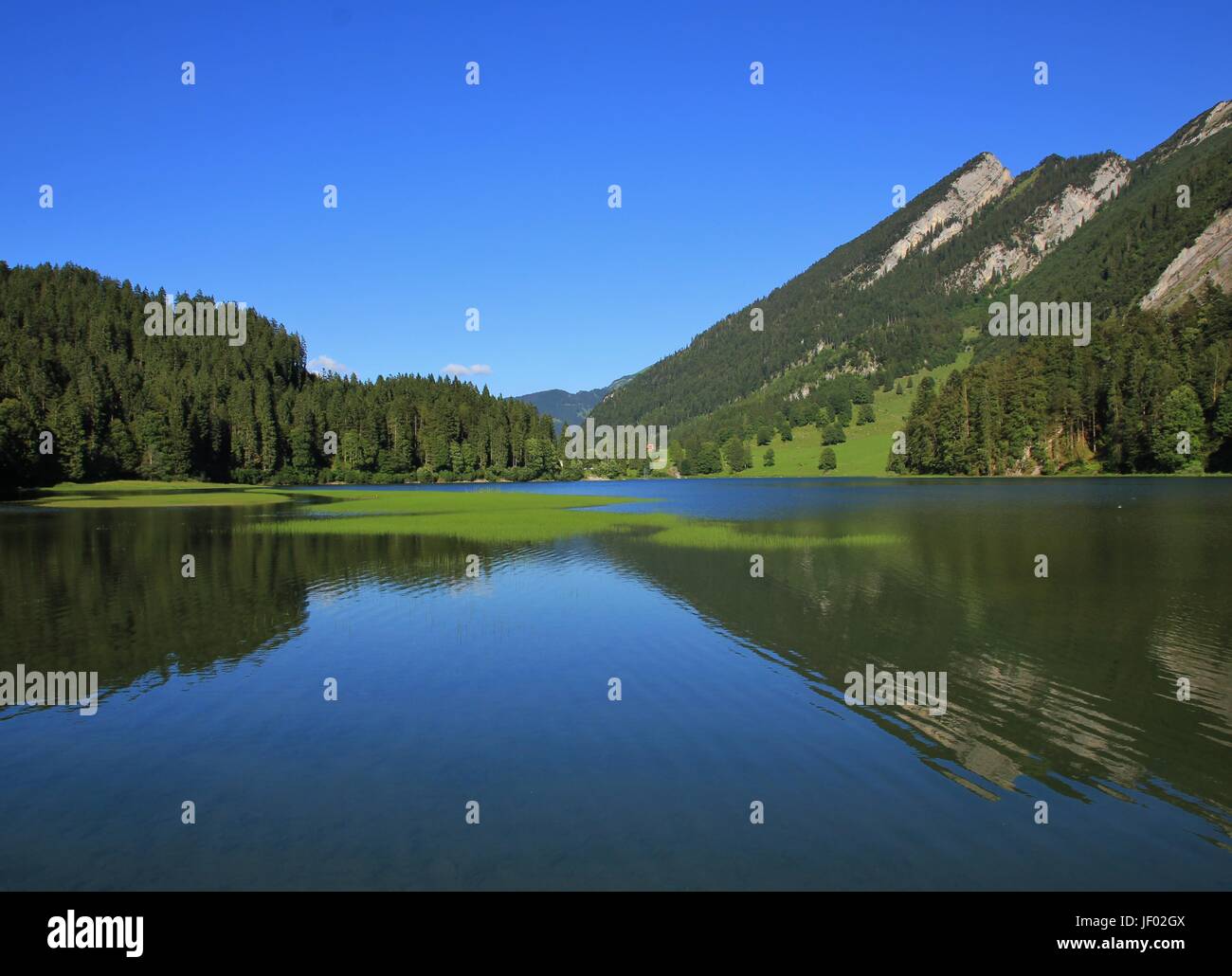 Obersee reflection view hi-res stock photography and images - Alamy