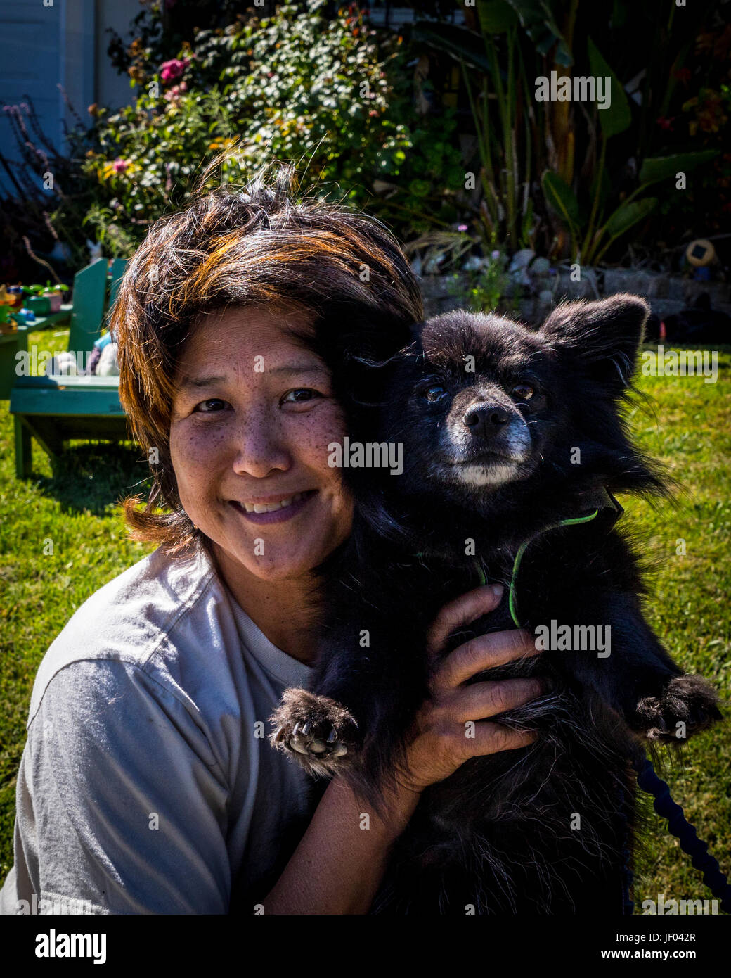 A happy asian woman with her cute little dog Stock Photo - Alamy