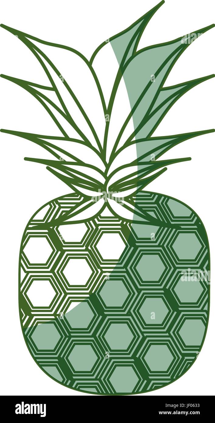 isolated pineapple fruit Stock Vector Image & Art - Alamy