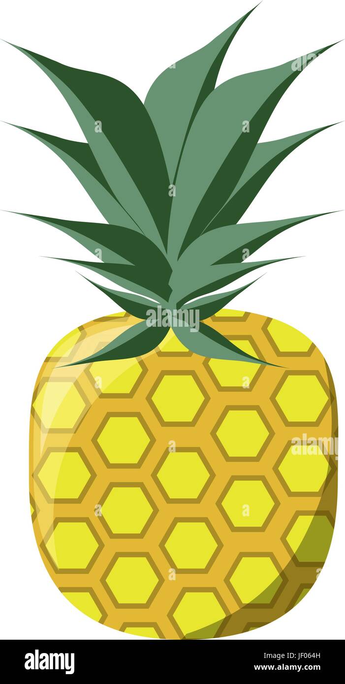 isolated pineapple fruit Stock Vector Image & Art - Alamy