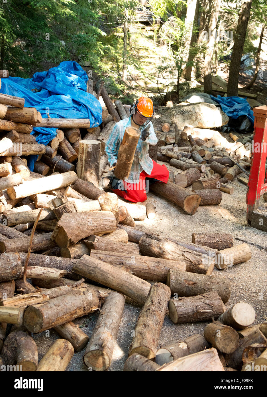 Logging cuts hi-res stock photography and images - Alamy