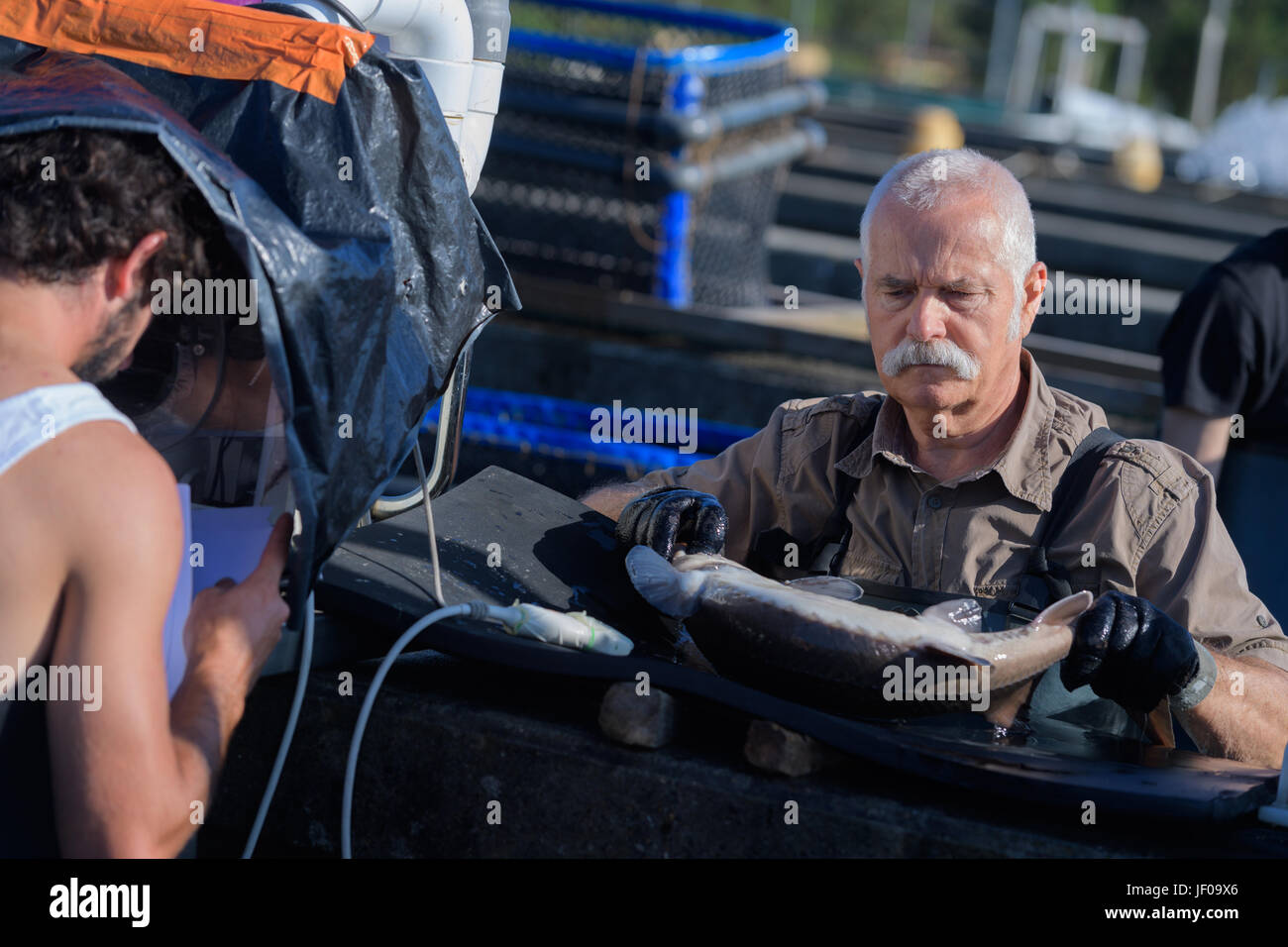 Commercial fisherman holding fish Stock Photo Alamy
