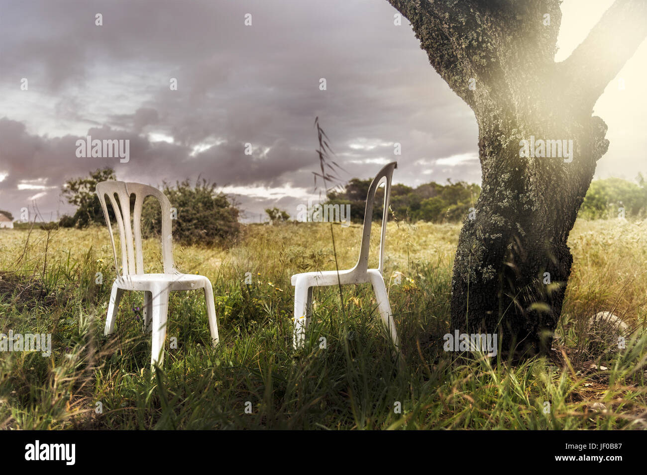 Two empty chairs stand under a tree Stock Photo