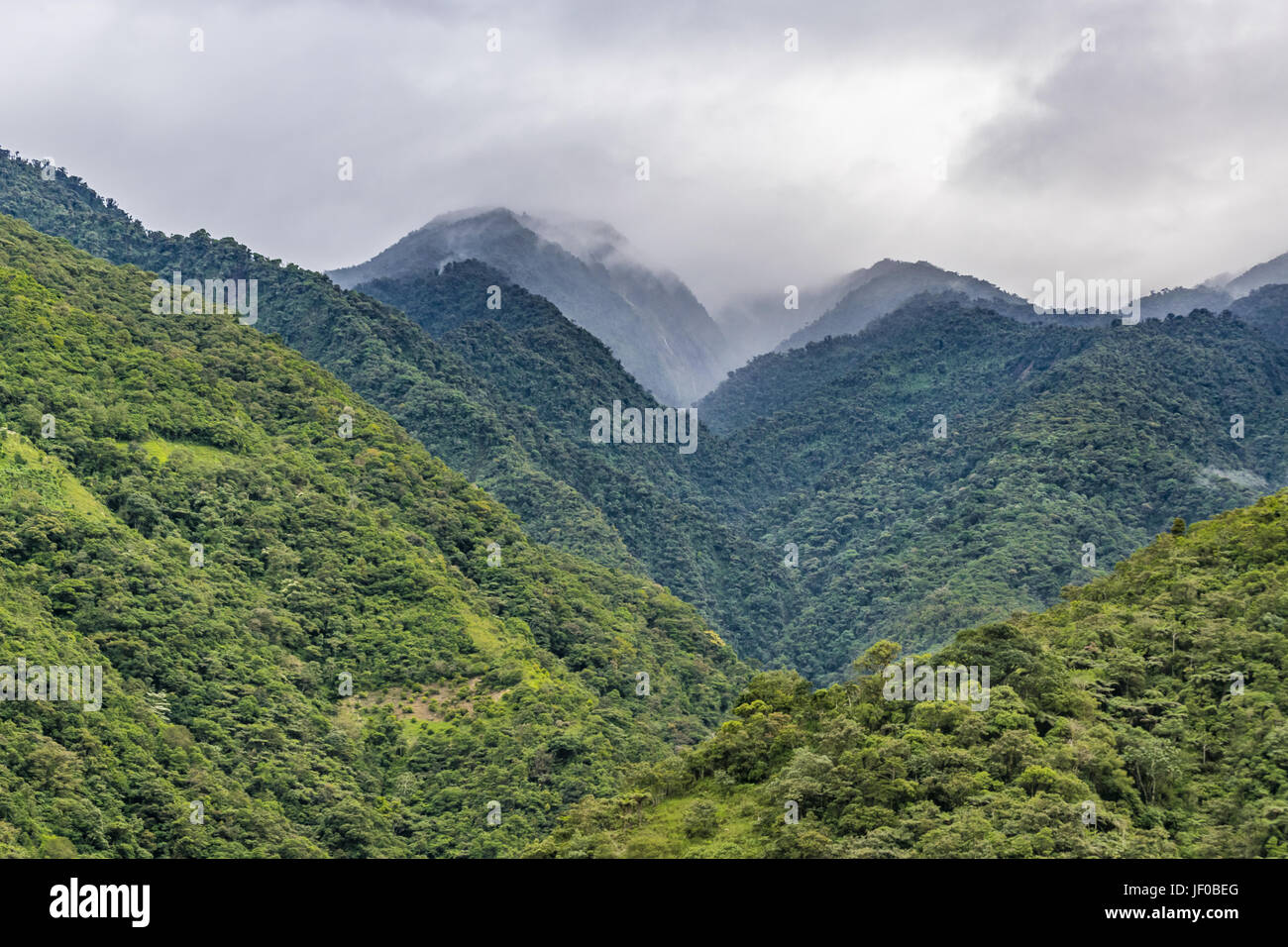 Leafy Mountains Landscape in Banos Ecuador Stock Photo Alamy