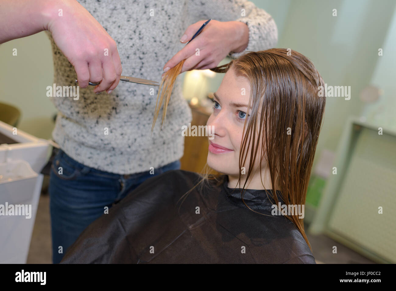 Woman Having Her Hair Cut Stock Photo Alamy Woman Having Her Hair Cut Stock Photo Alamy