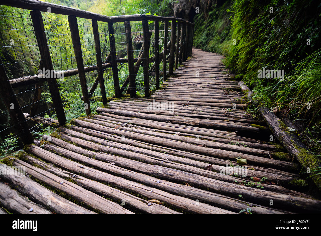 Pathway Wooden Footbridge Stock Photo