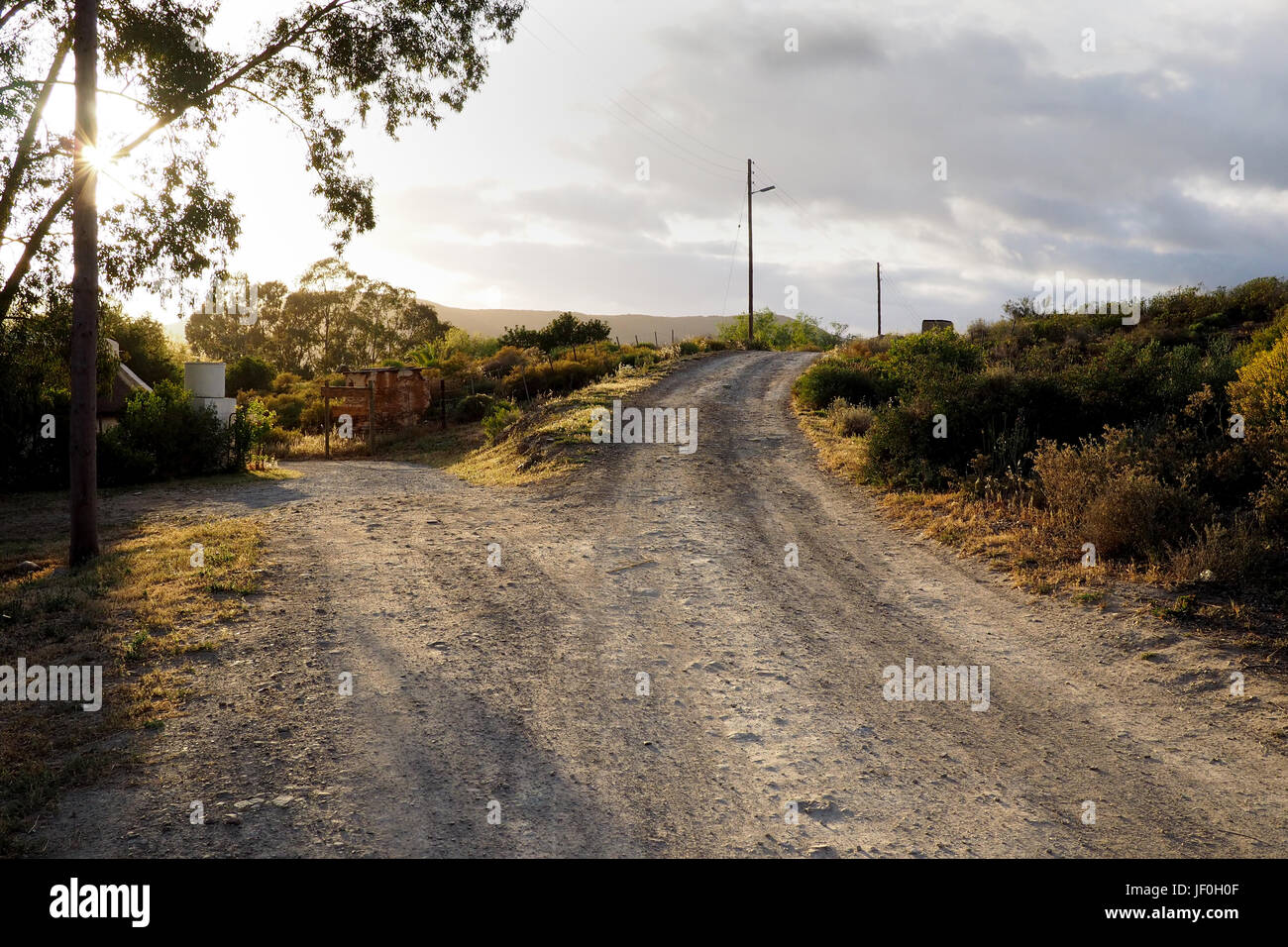 a fork in the road on a dirt road in the countryside Stock Photo Alamy