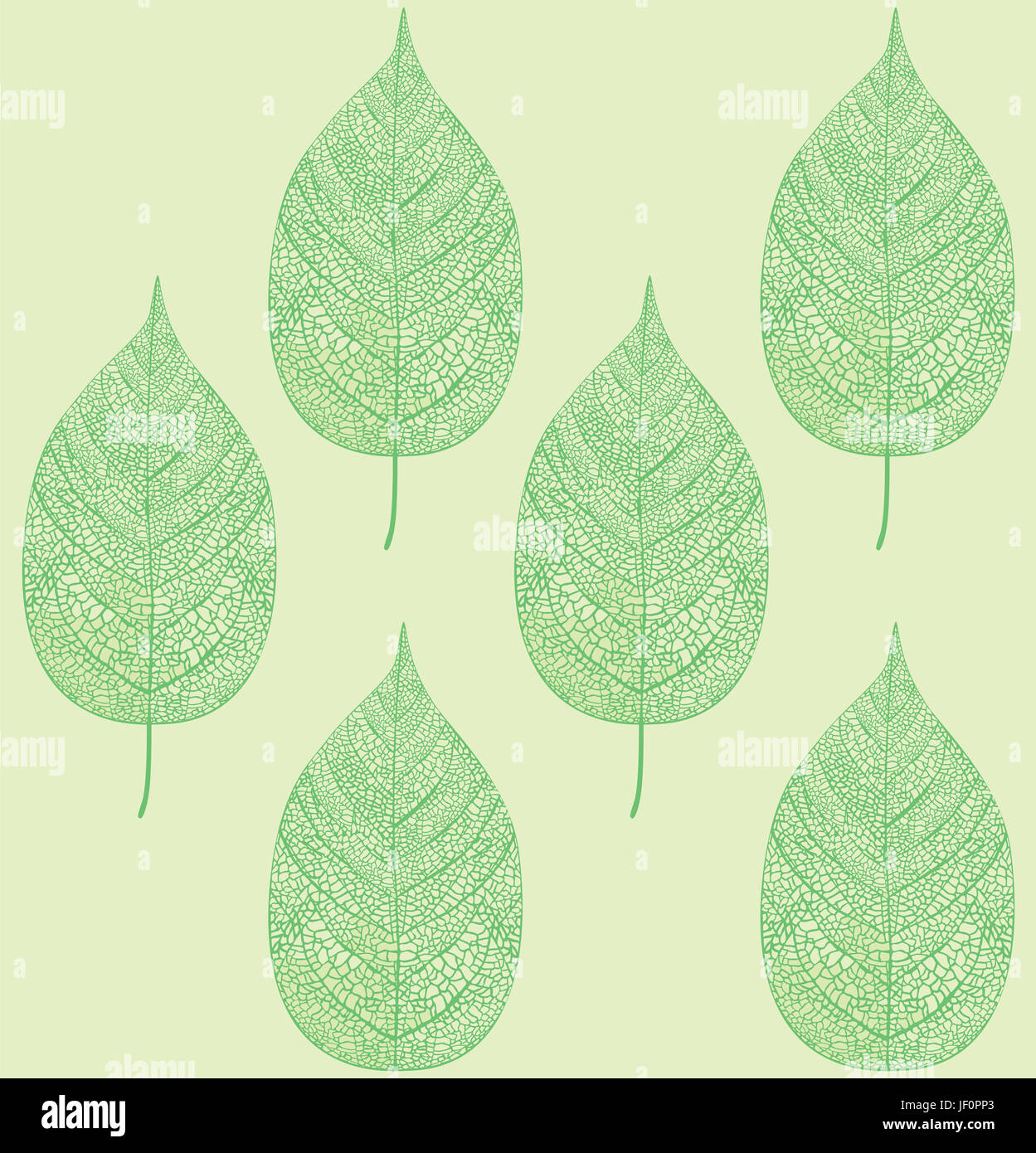 leaf pattern Stock Photo