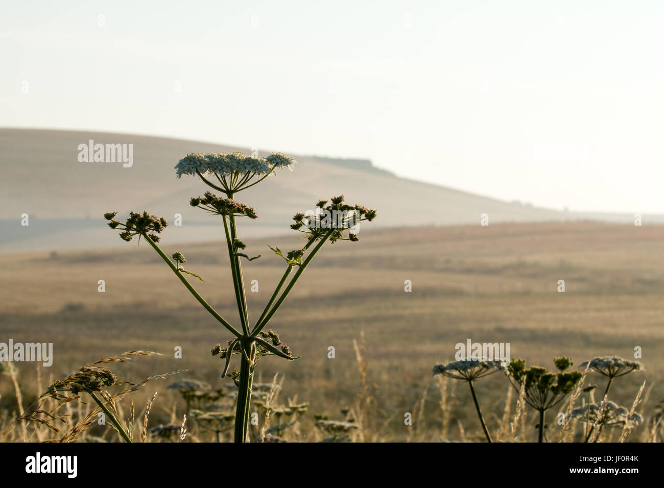 Sussex Landscape and South Downs Stock Photo