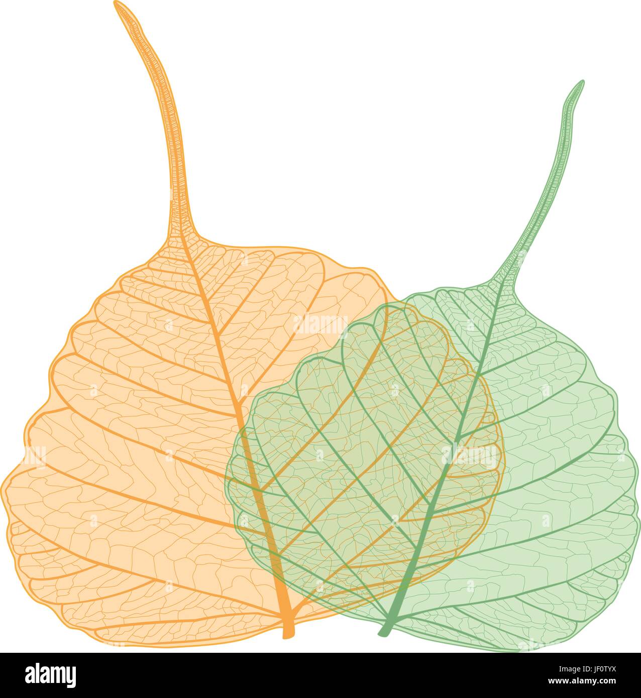 Fall Apart Vector Vectors High Resolution Stock Photography and Images ...