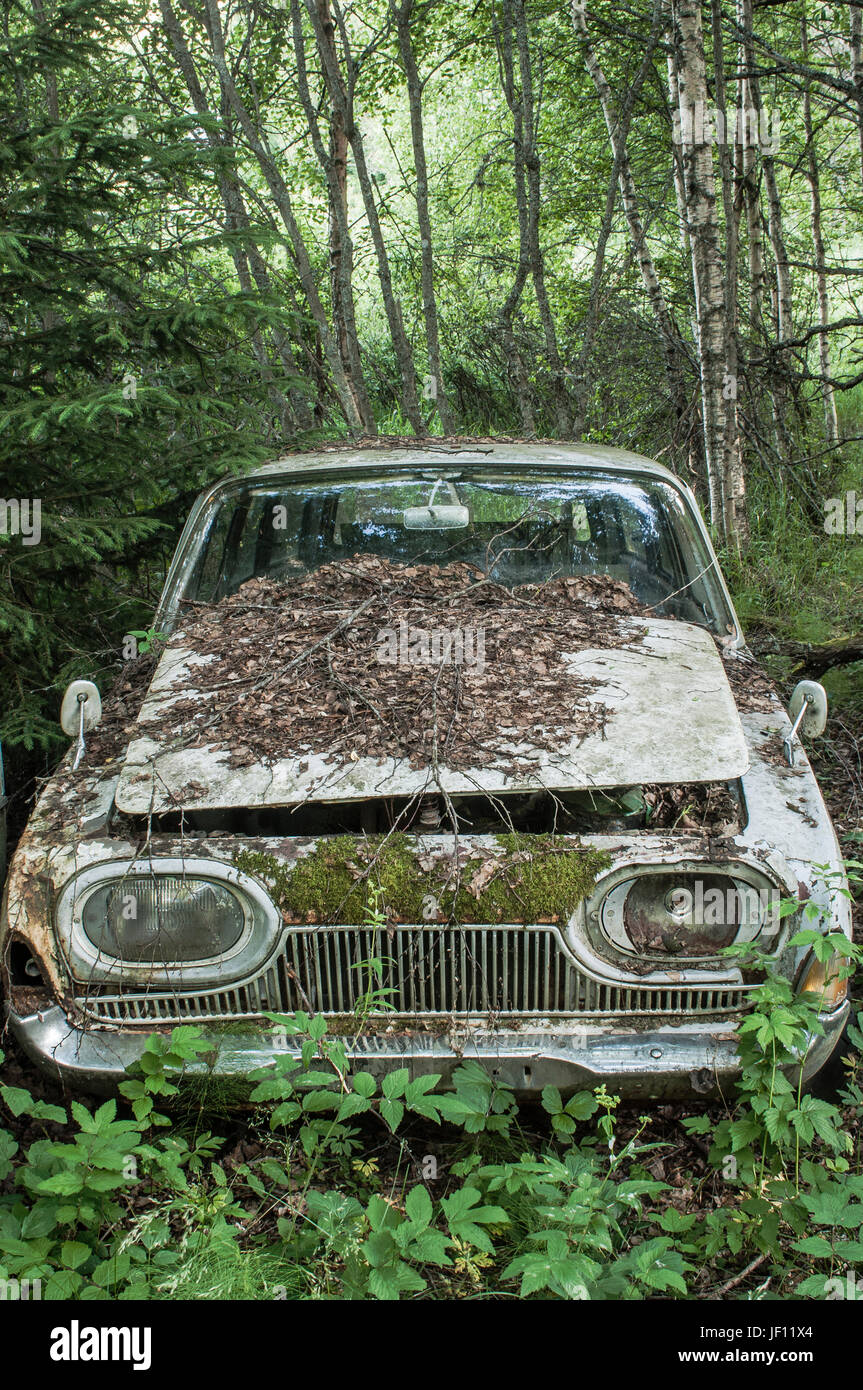 Old car abandoned in forest Stock Photo - Alamy