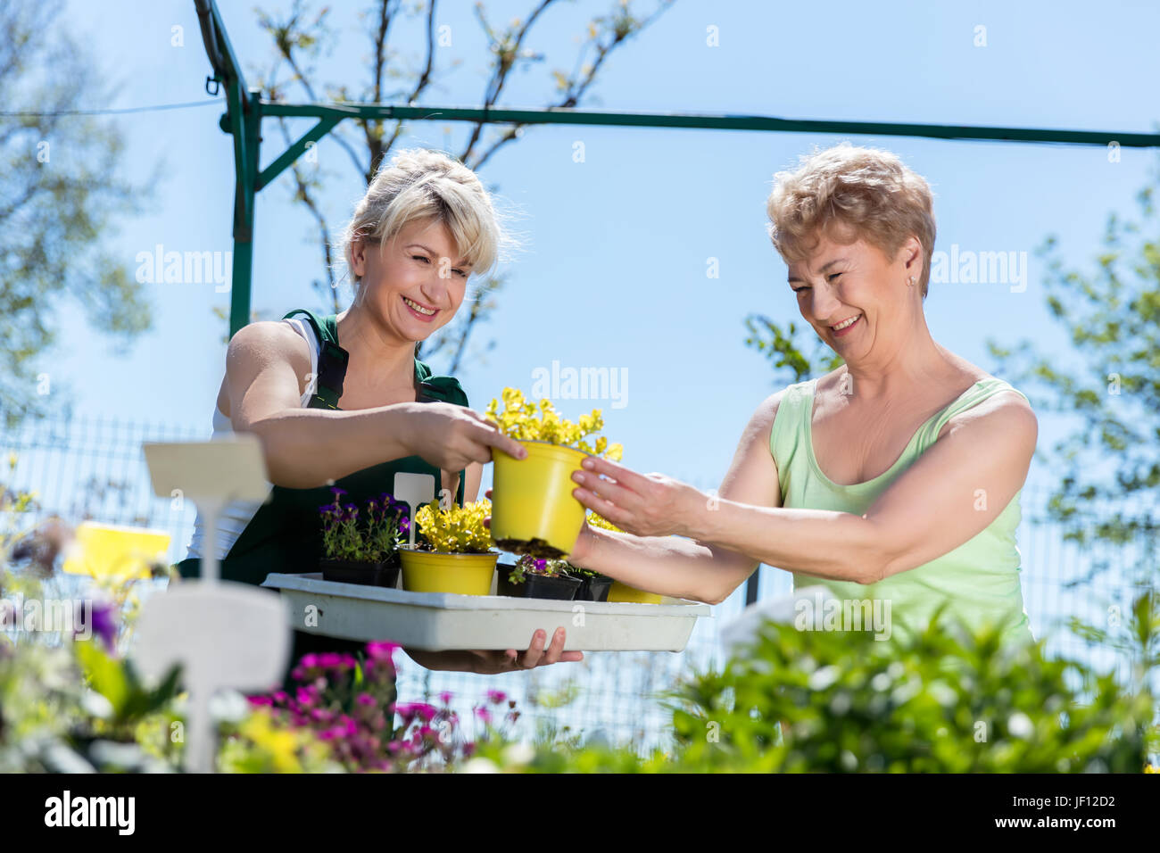 Attractive mature gardener helps senior client with flowers and plants. Gardening and people concept. Stock Photo