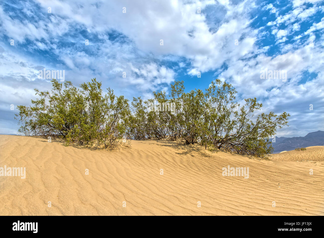 Mesquite Flat Sand Dunes in Death Valley in California Stock Photo