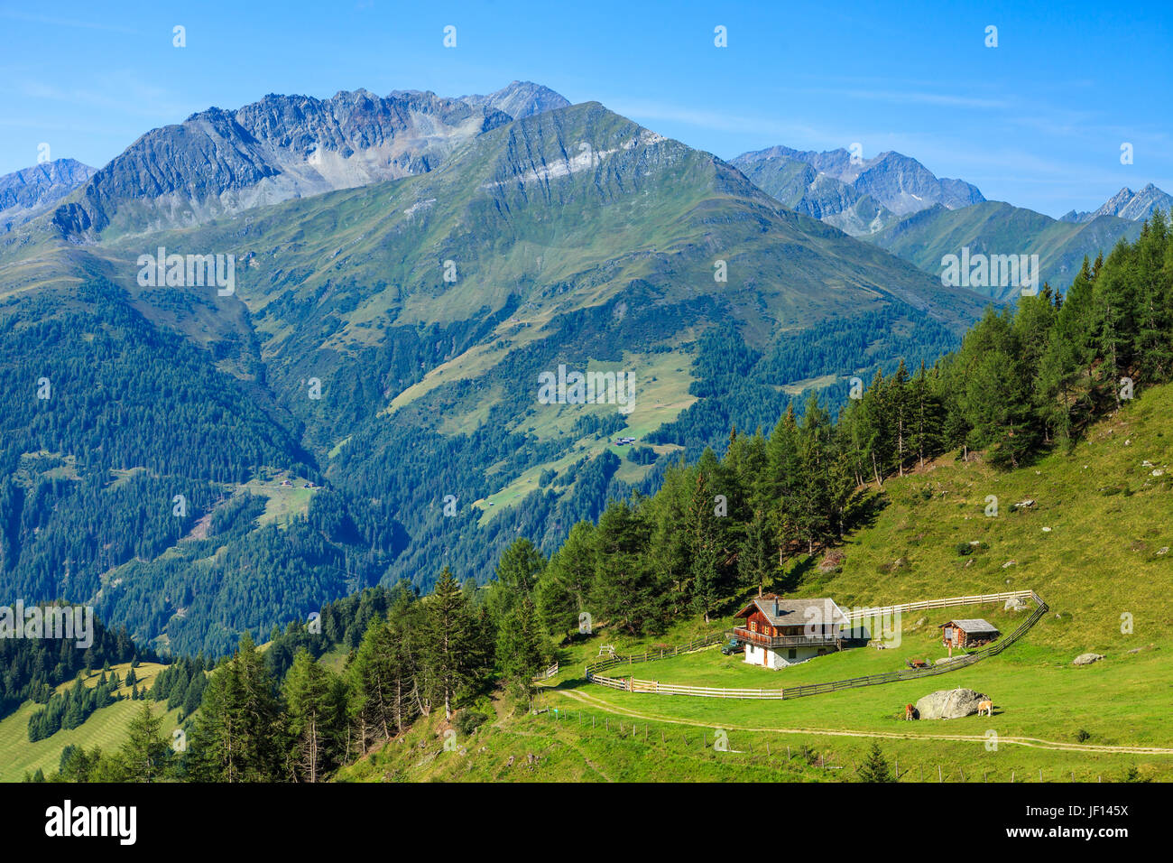 Alpine summer vacation hi-res stock photography and images - Alamy