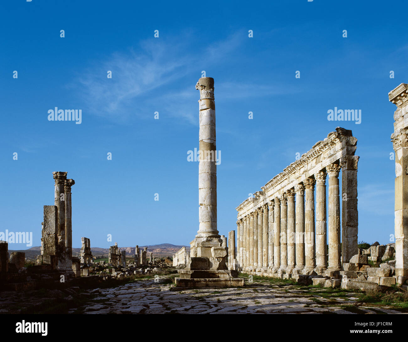 Syria. Apamea. Votive column in the Cardo Maximus. Roman work, 2nd century. Photo taken before civil war. Stock Photo