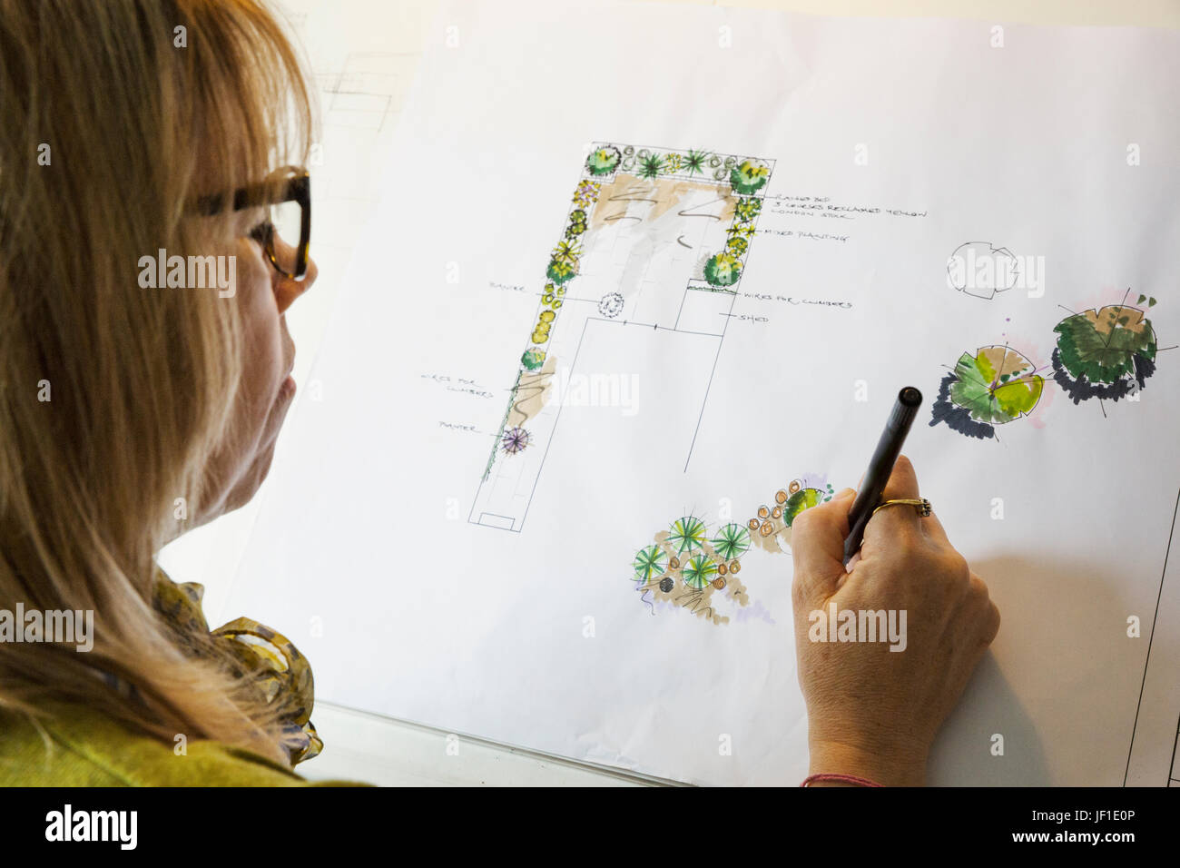 Over the shoulder view of womanat a drawing board, drawing with a fineliner, designing a garden. Stock Photo