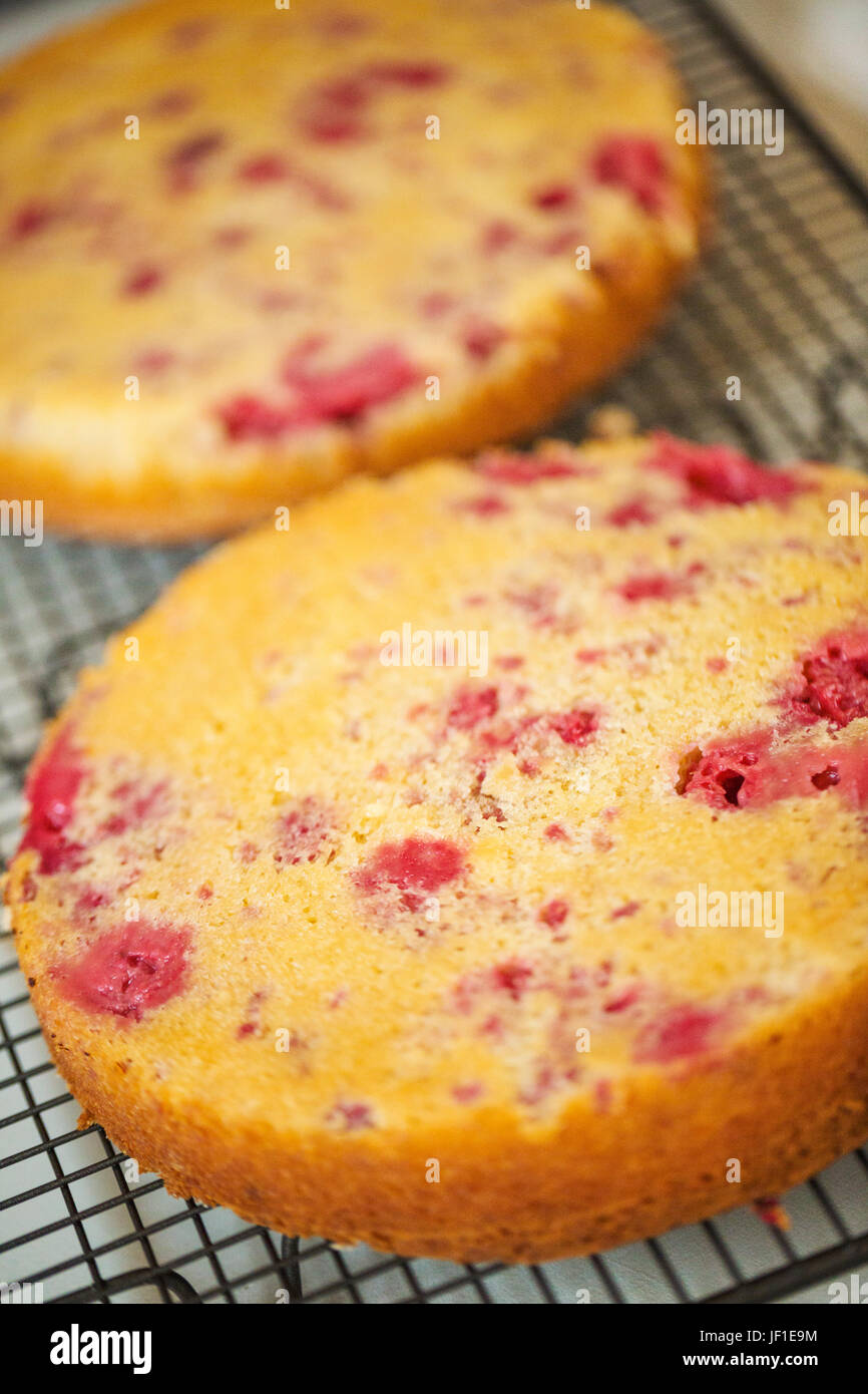 Close up high angle view of two layers of freshly baked raspberry cake. Stock Photo