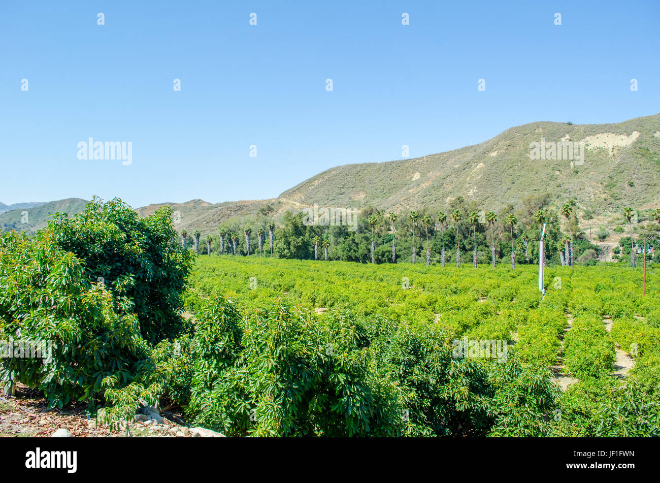 Ventura agriculture hires stock photography and images Alamy