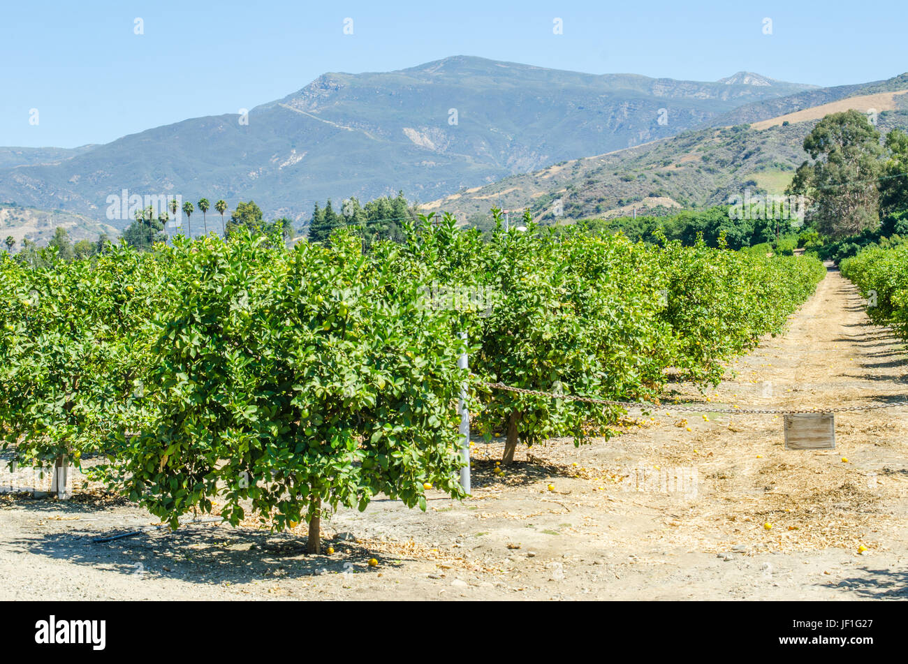 Lemon grove california hires stock photography and images Alamy